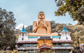Kandy & Colombo Heritage Tour gallery